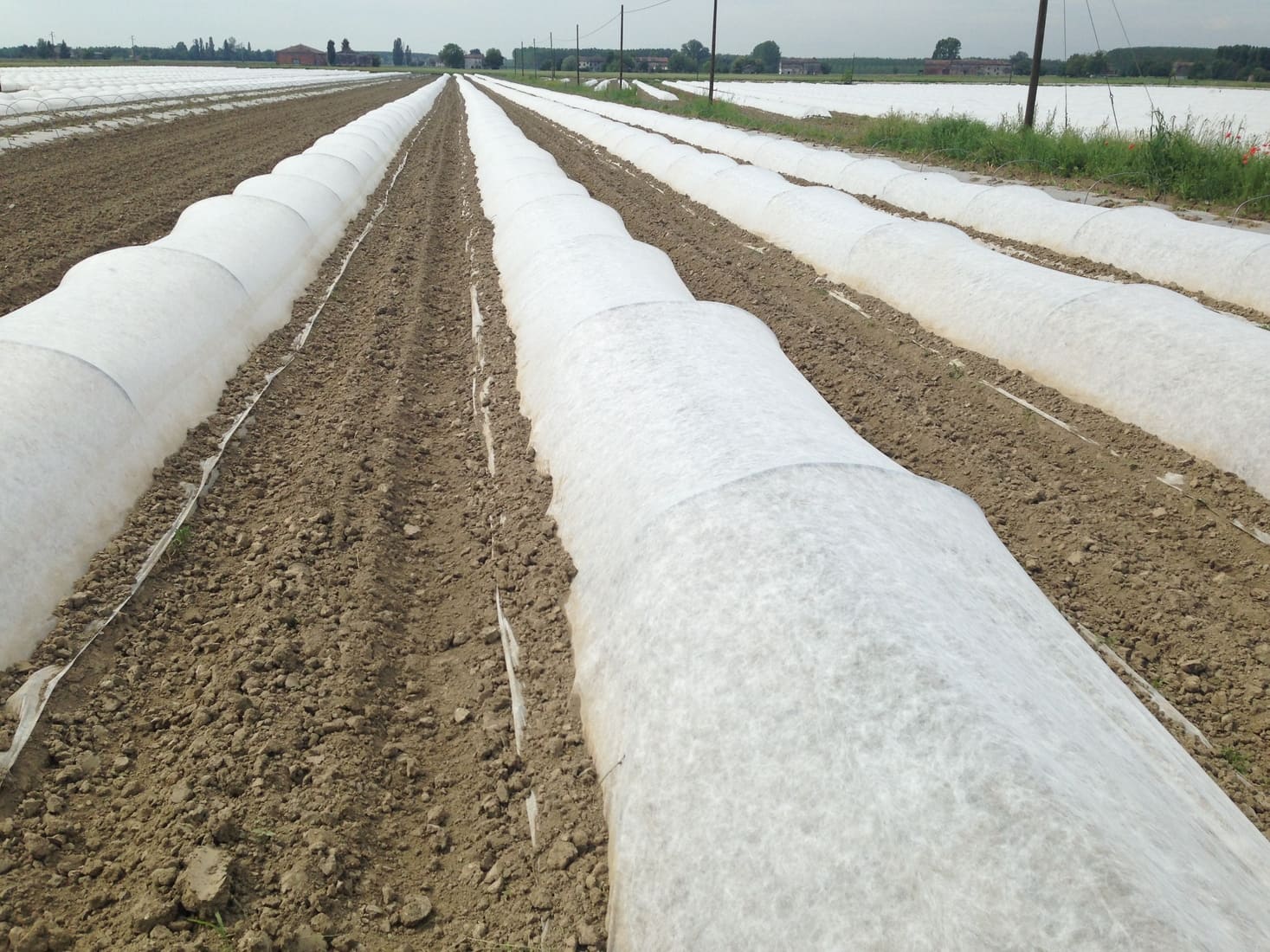 Tessuto Acustico Crema Per Griglie Altoparlanti 205x150 Cm – Traspirante, Per Mobili E Pannelli Fonoassorbenti